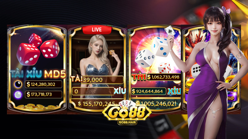 Banner www.hd5803.com